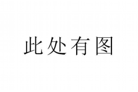 龙泉专业讨债公司有哪些核心服务？