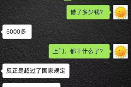 龙泉为什么选择专业追讨公司来处理您的债务纠纷？